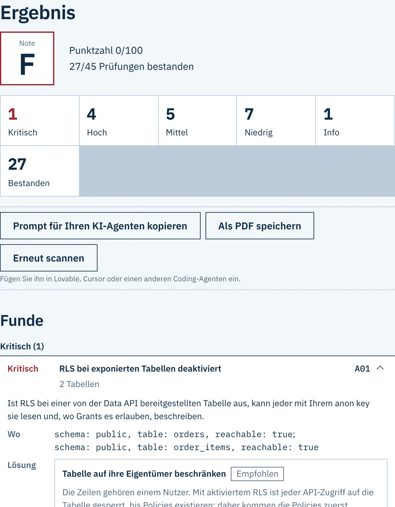 Beispielbericht eines erfundenen Projekts: Note, Punktzahl und die ersten Funde mit ihrem Schweregrad