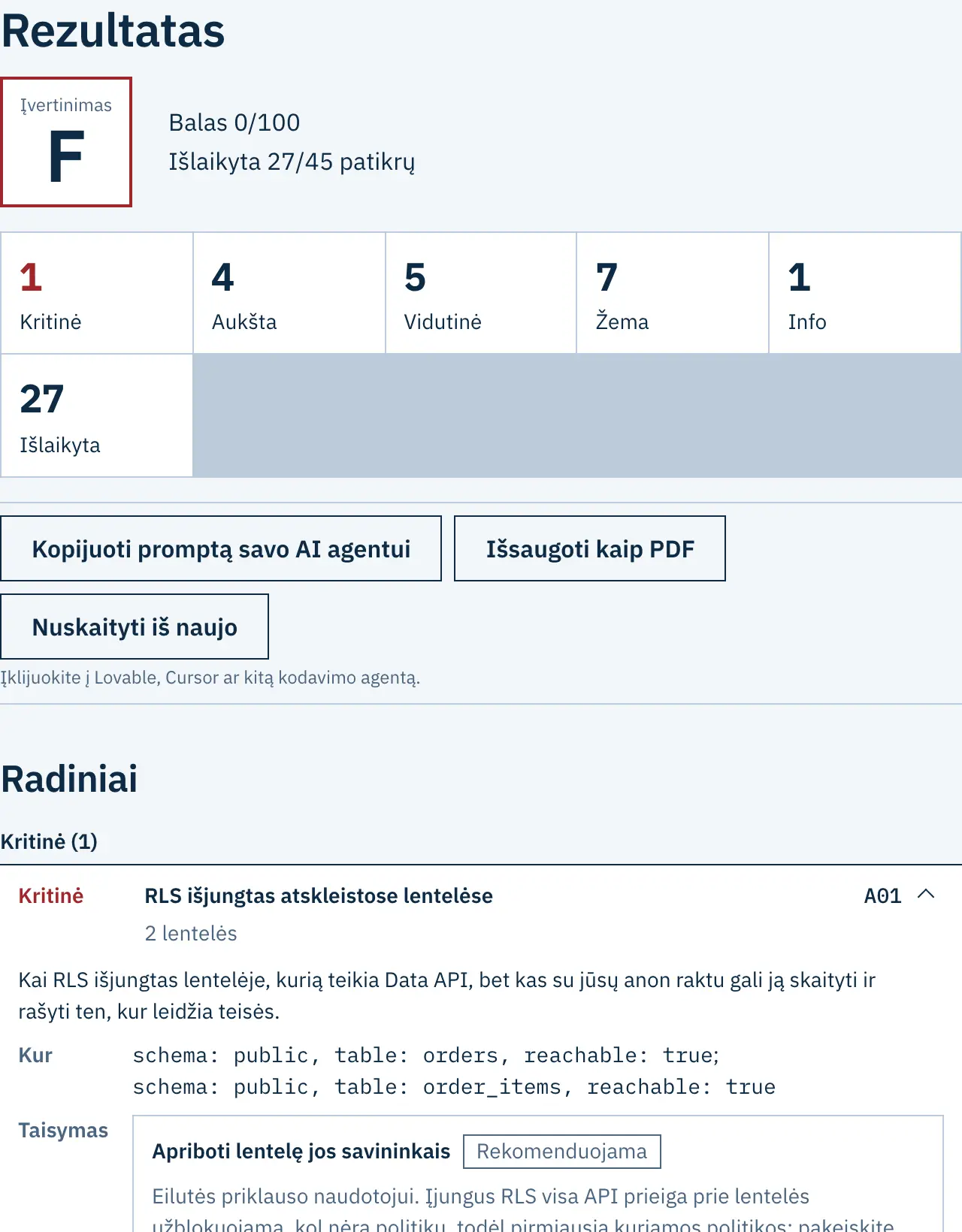 Išgalvoto projekto ataskaitos pavyzdys: įvertinimas, balas ir pirmieji radiniai su jų svarba